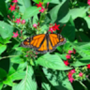 Meet your Posher, Jessi